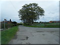 Lane junction near Horton Hall