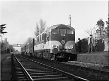 O1931 : Special train at Sydney Parade station by The Carlisle Kid
