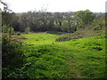 Field just west of St Michael