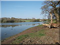 High tide at Garron Pill