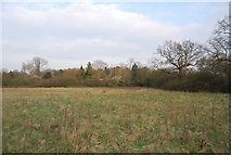 TQ2293 : Totteridge Fields by N Chadwick
