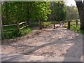 Bridleway into Decoy Copse