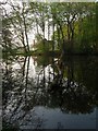 Tilebarn Pond