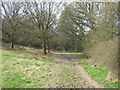 Cholesbury Common