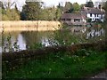 Pond north of Pulborough