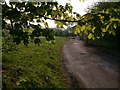 The original Stopham Road east of Stopham Bridge (2)