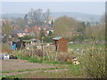 Aldbury village allotments