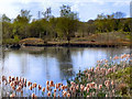 Rixton Claypits Nature Reserve