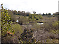 Rixton Claypits Nature Reserve