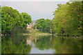 River Tees near Bolton Park Wood