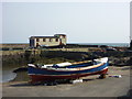 Coastal Berwickshire : Orca at St Abbs Harbour