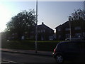 Houses on Selsdon Park Road