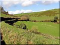 Looking up the Valley