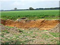 Gravel Hole, Alderholt Common