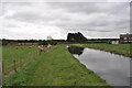 Chesterfield Canal - West of Ranby