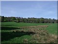 Fields at Braes