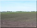 SD4221 : Orderly rows of new crops by Christine Johnstone
