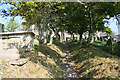 Blackawton: churchyard path