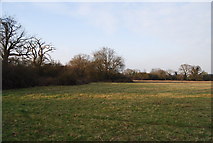 TQ2294 : Totteridge Fields by N Chadwick