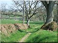 Footpath through Tipton Vale