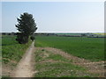 Footpath to Northbourne