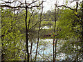 Rixton Claypits Nature Reserve