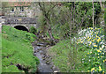 Ings Beck, an upstream view