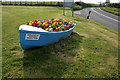 Sponsored floral rowing boat