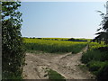 Footpath junction near Little Mongeham