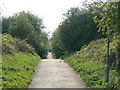 Footpath on the old railway