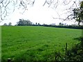 Countryside near Pulham 