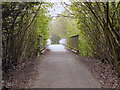 Bridge Over Birchwood Way