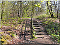 Steps, Moss Lea