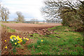 Newly Ploughed Field