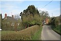 Houses along Middle Hill