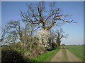 Track off Coton Road, Grantchester