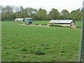 Horse box or chicken shed