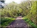 Pennington Flash Country Park