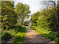 Pennington Flash Country Park