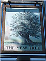 The Yew Tree Pub Sign, Walmer