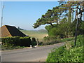 Bridleway crosses Ringwould Road