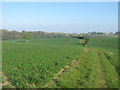 Footpath on Claytons Hill