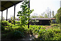 Disused Farm Buildings