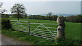 Carved buzzard as a gatepost.