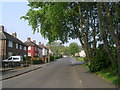 Romanby Shaw - looking towards Ruswarp Crerscent