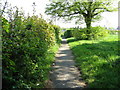 Caterham:  Footpath alongside Avenue Road