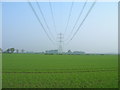 Farmland under power lines off Moor Lane