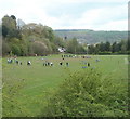 Combined football and rugby pitch, Abersychan