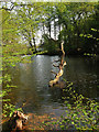 Tilebarn Pond