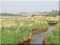 Caw Burn west of Greenlee Lough